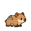 Plugpup